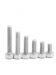 Hexagon socket head bolts1/4-20*1