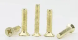Golden Flat Head Screws M3*80