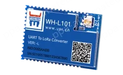 LoRa module