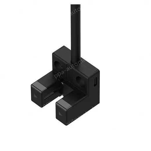 BS3-L1R